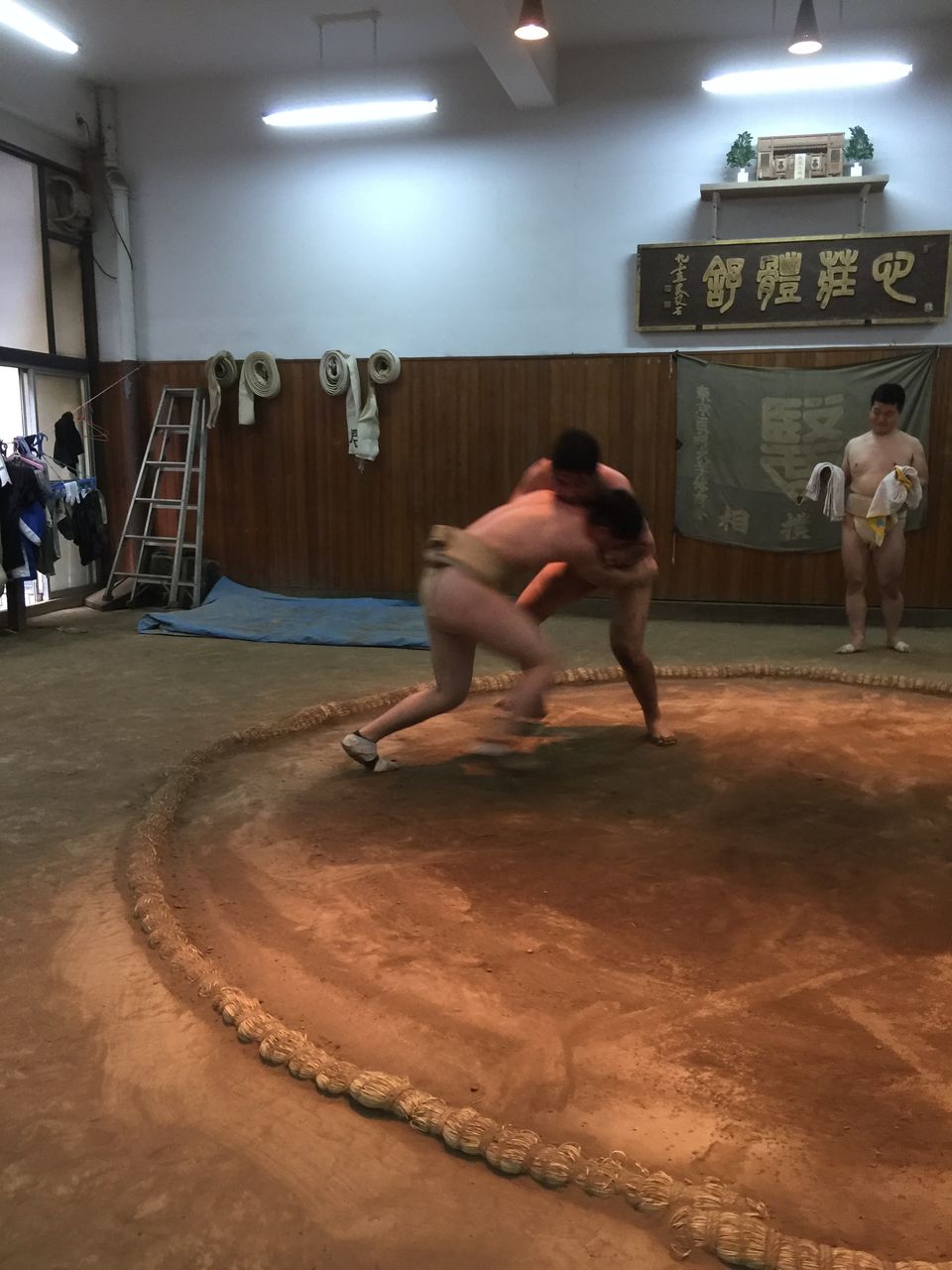 イメージ 7
