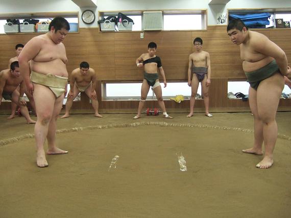 イメージ 7