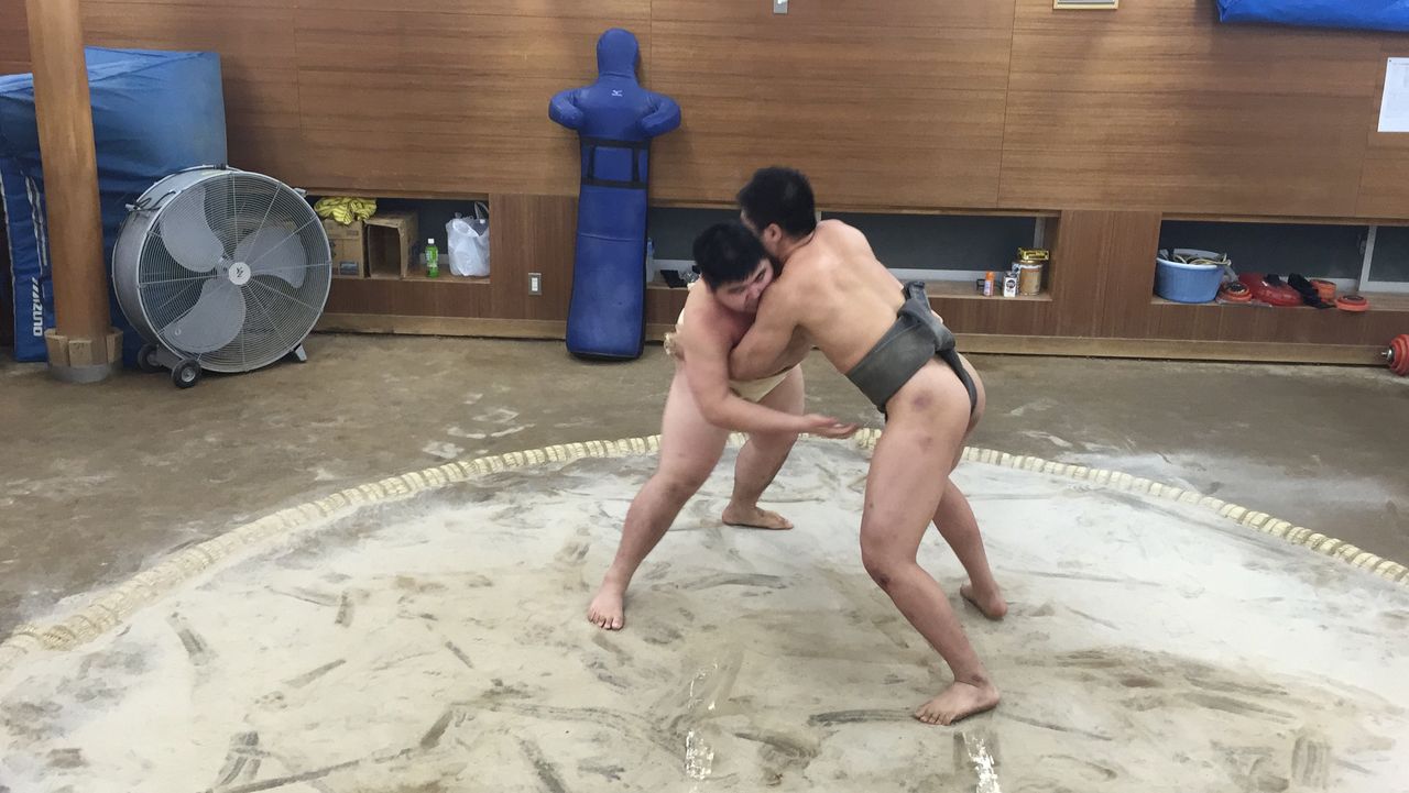 イメージ 5