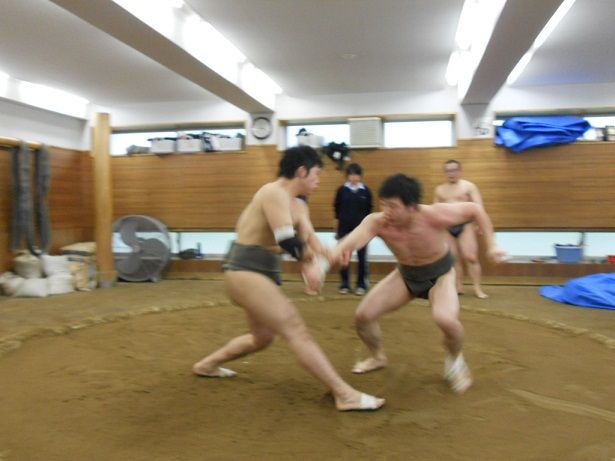 イメージ 8