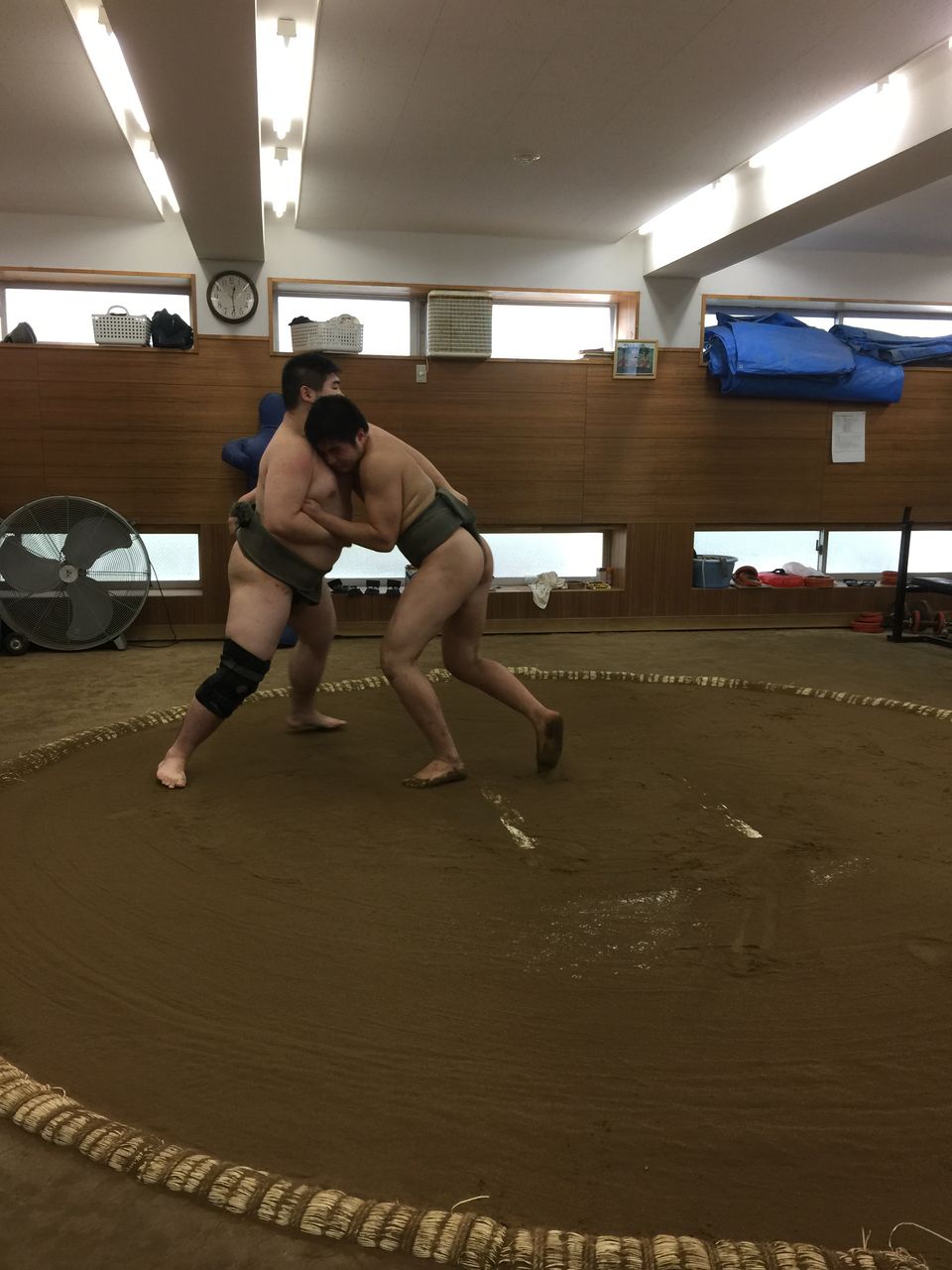 イメージ 6