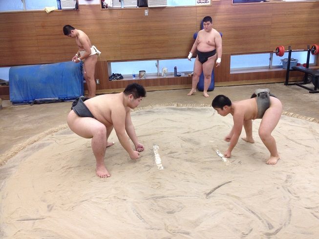 イメージ 6