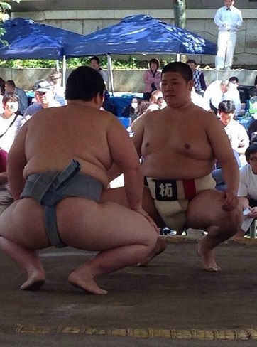 イメージ 7