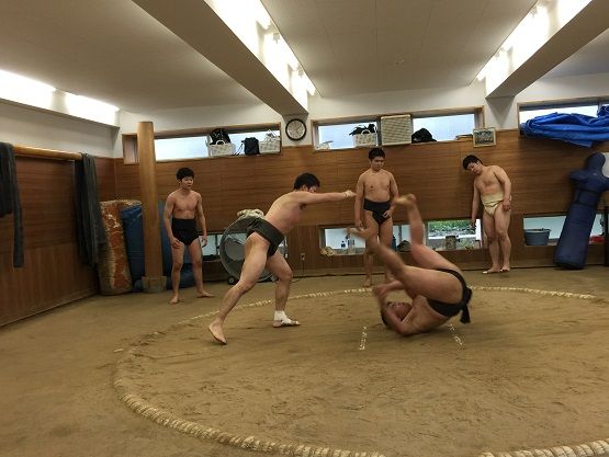 イメージ 16