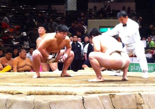 イメージ 6
