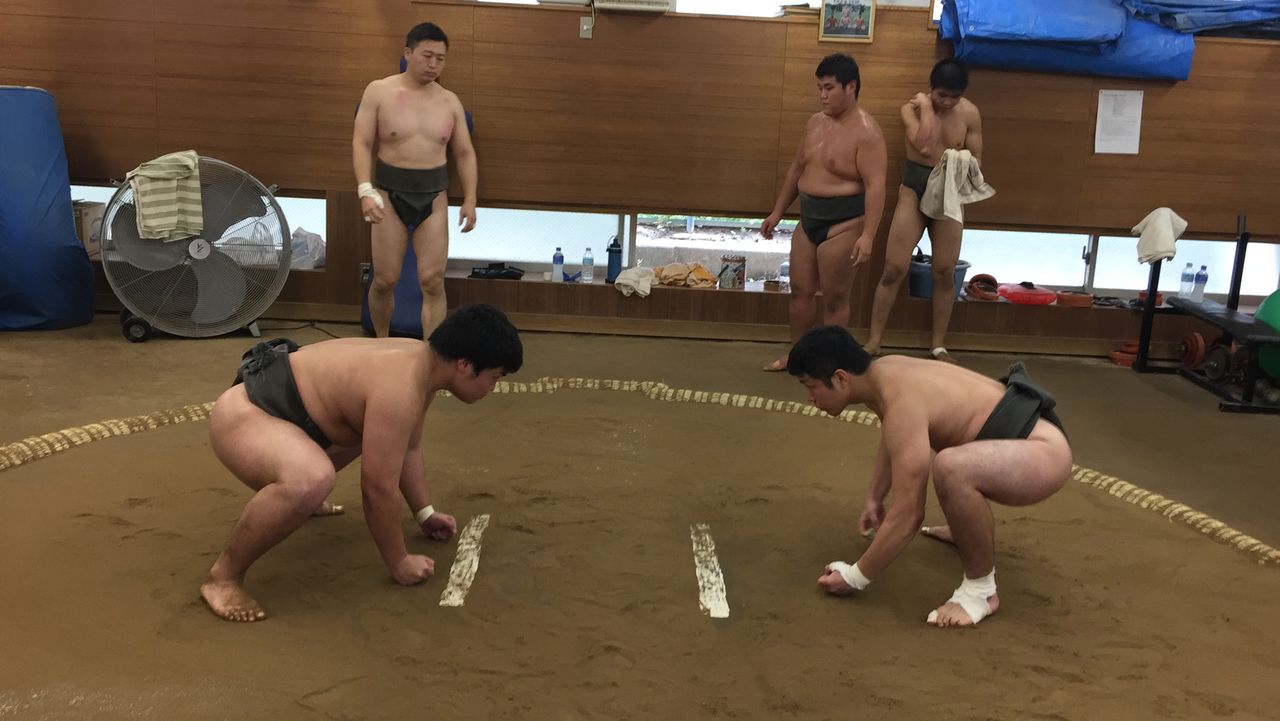 イメージ 7