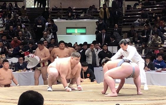 イメージ 10
