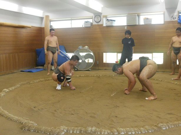 イメージ 8