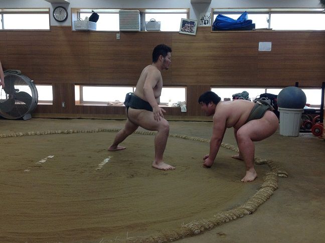 イメージ 5