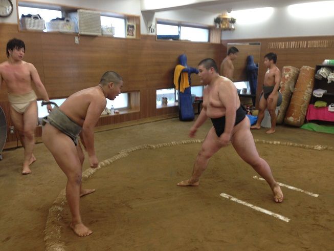 イメージ 7