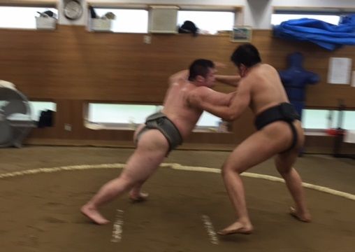 イメージ 15
