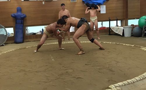 イメージ 15