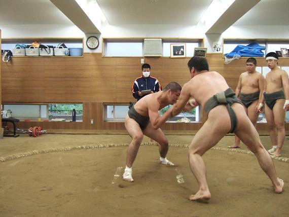 イメージ 7