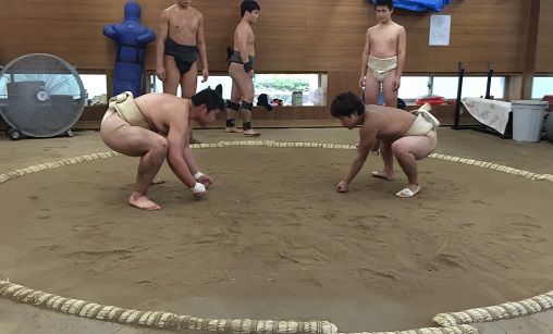 イメージ 12
