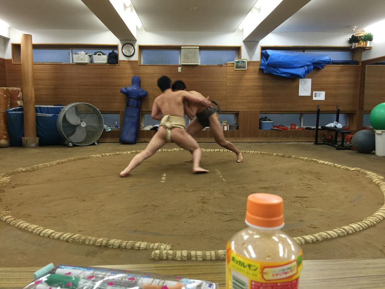 イメージ 10