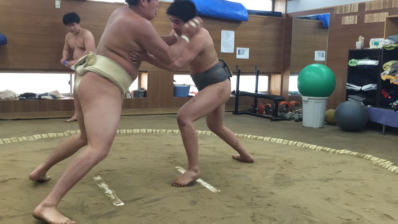 イメージ 5