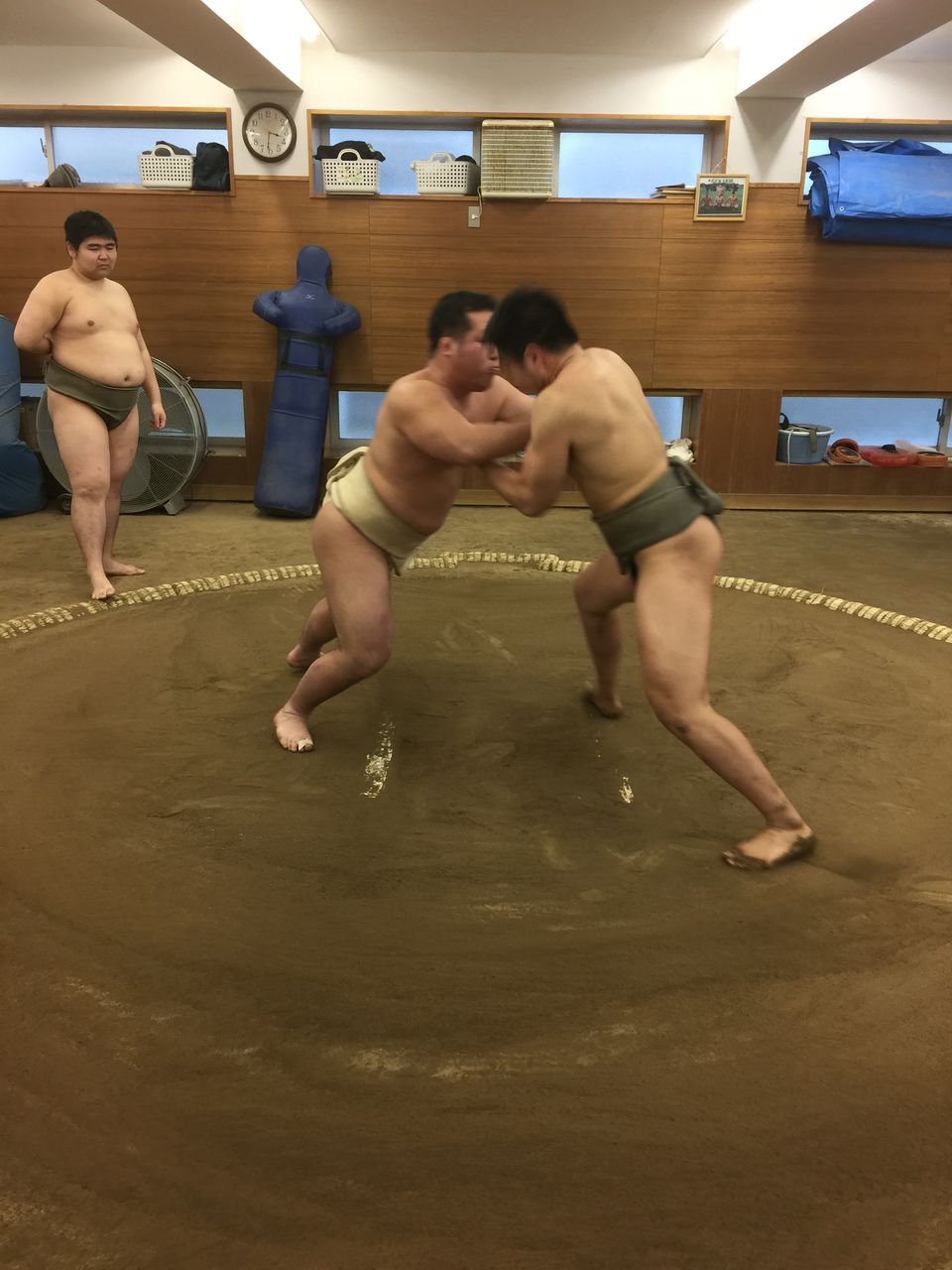 イメージ 7