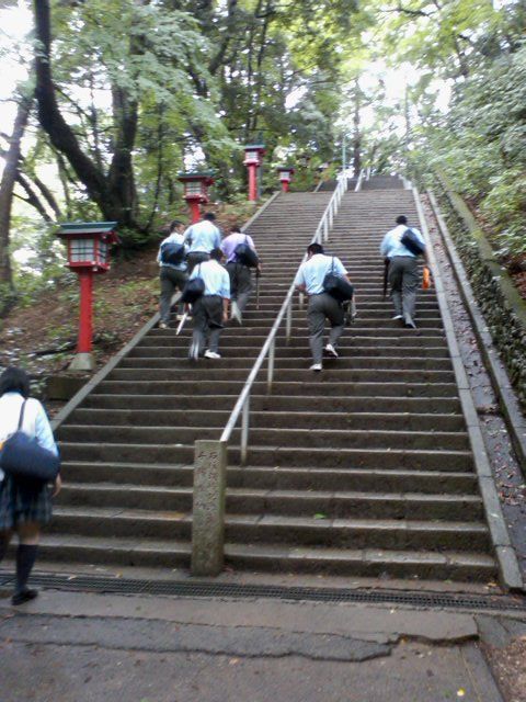 イメージ 17