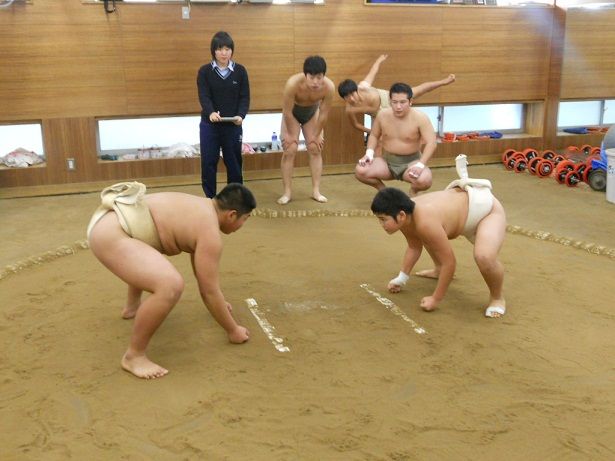 イメージ 12