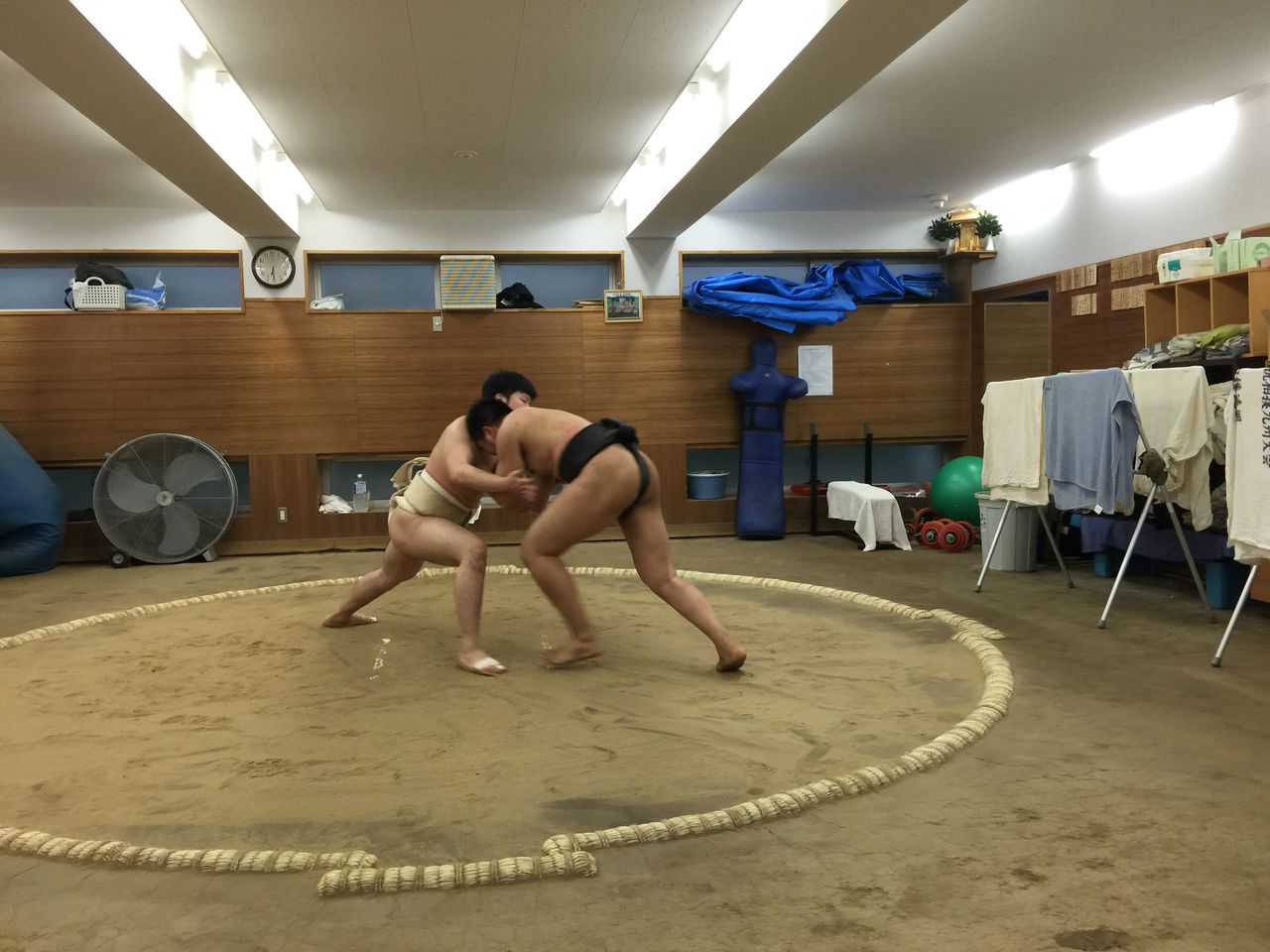 イメージ 11
