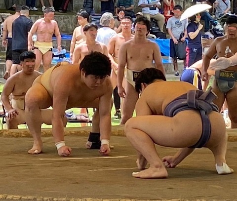 菅野
