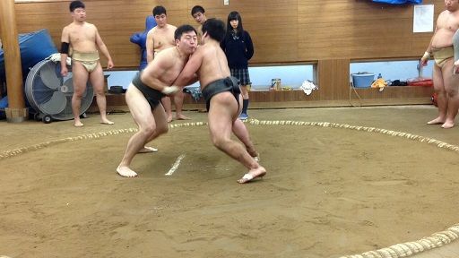 イメージ 5