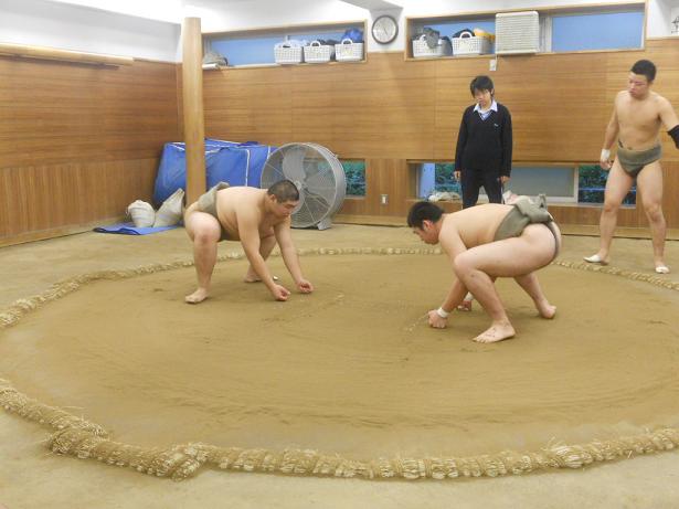 イメージ 6