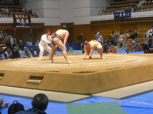 イメージ 6
