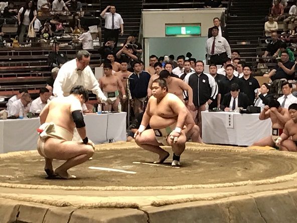 イメージ 7