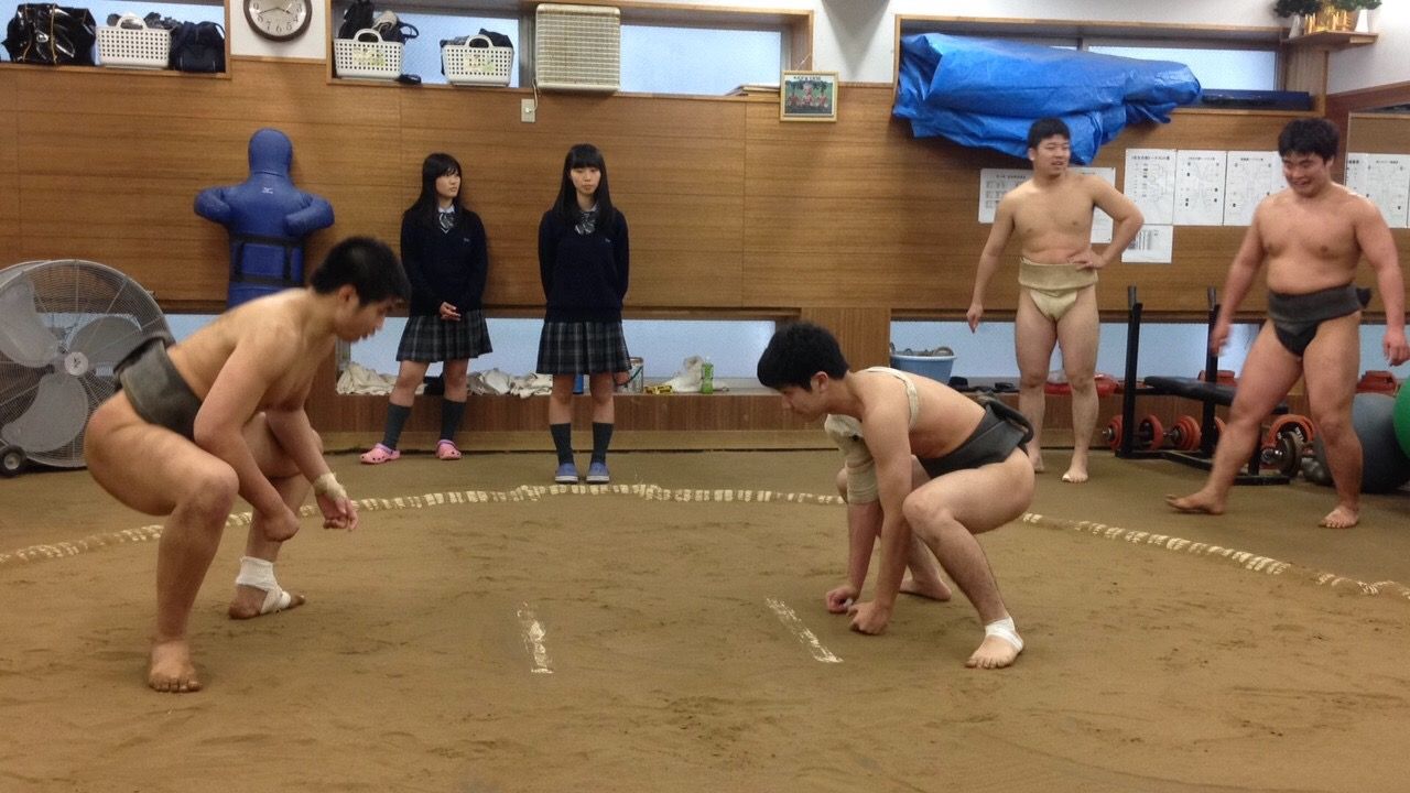 イメージ 5
