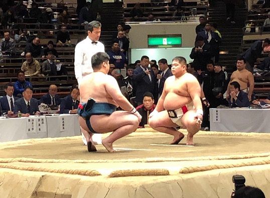 イメージ 5