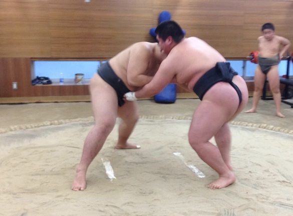 イメージ 10