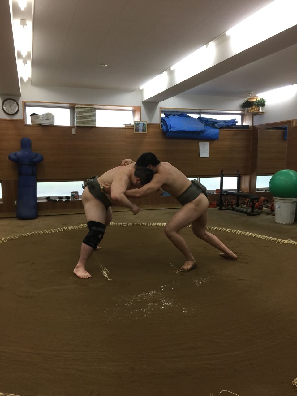 イメージ 5