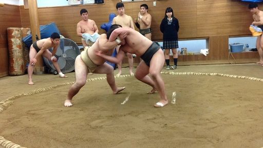 イメージ 14