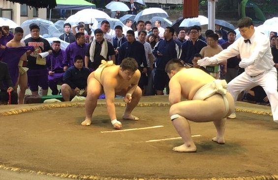 イメージ 5