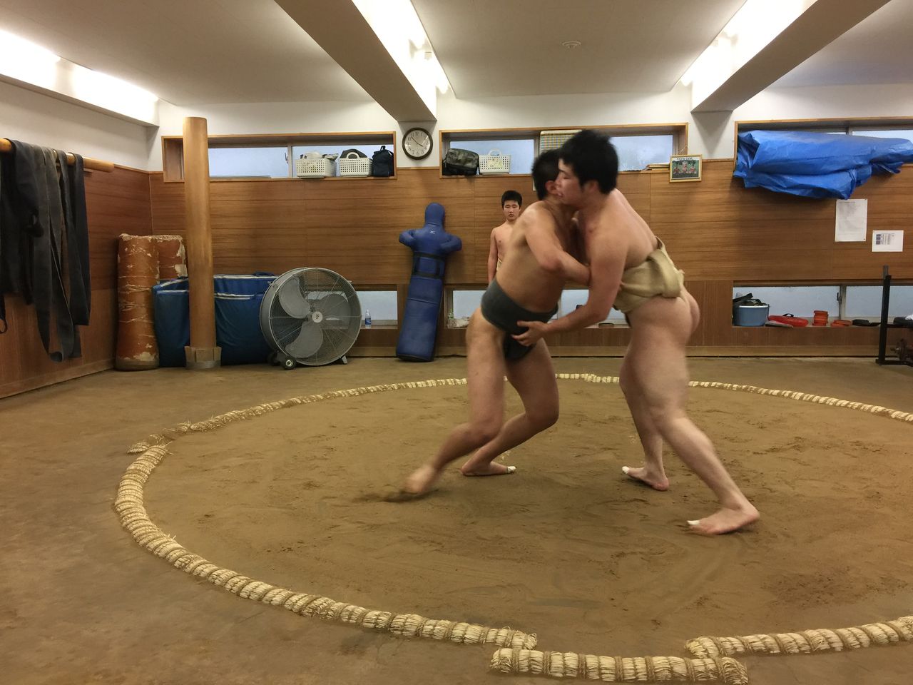 イメージ 6