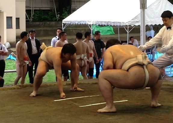 イメージ 8