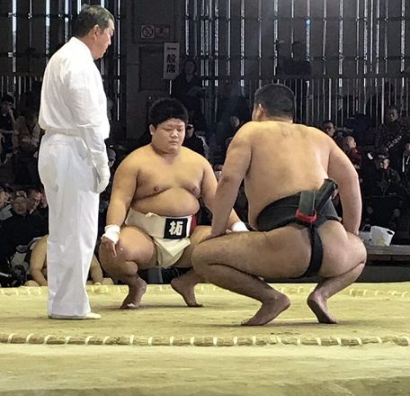 イメージ 9