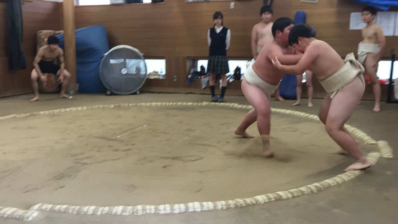イメージ 7
