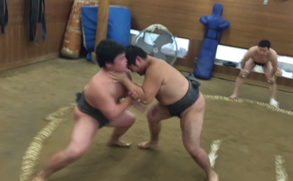 イメージ 6