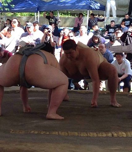 イメージ 8