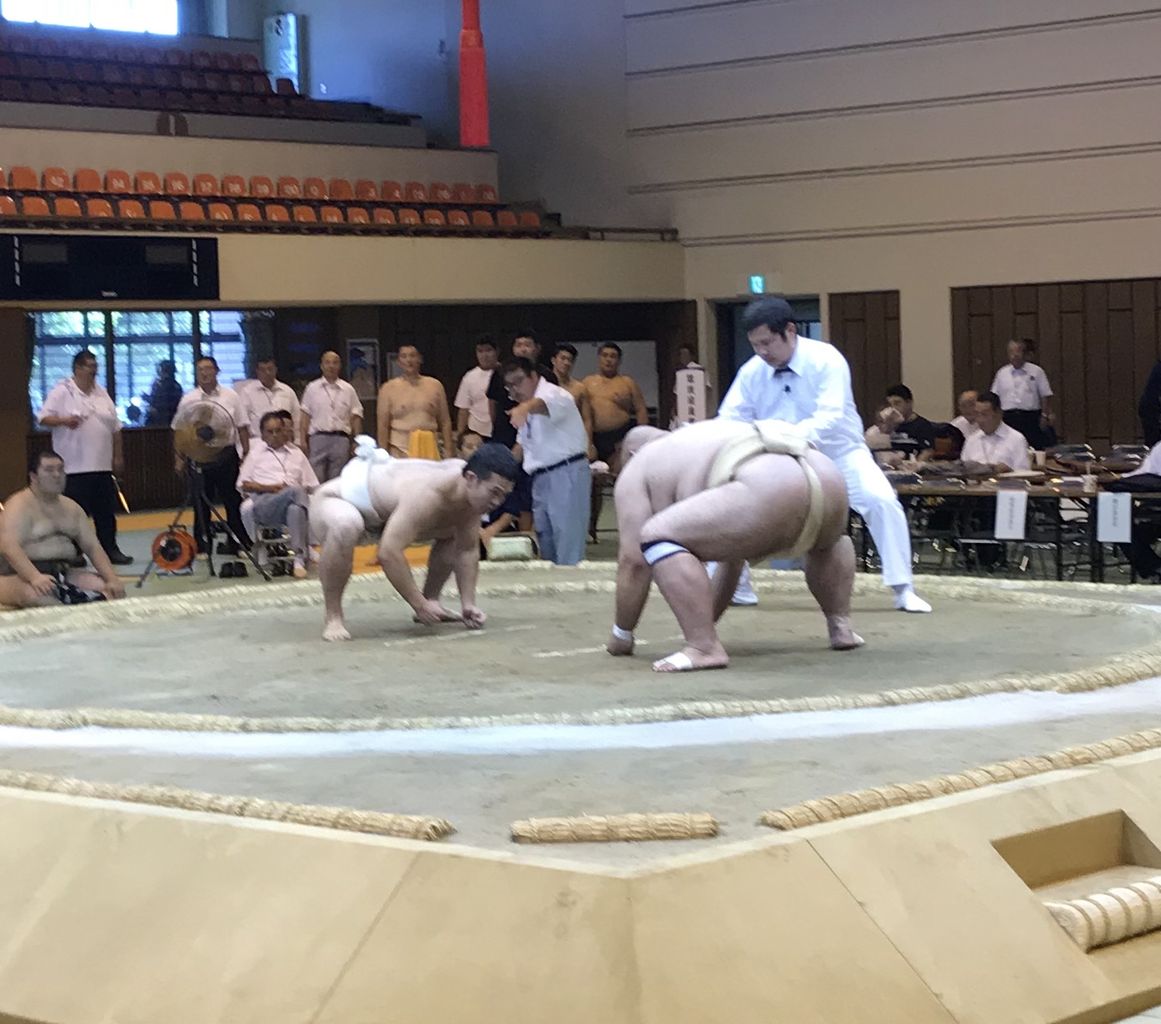 イメージ 5