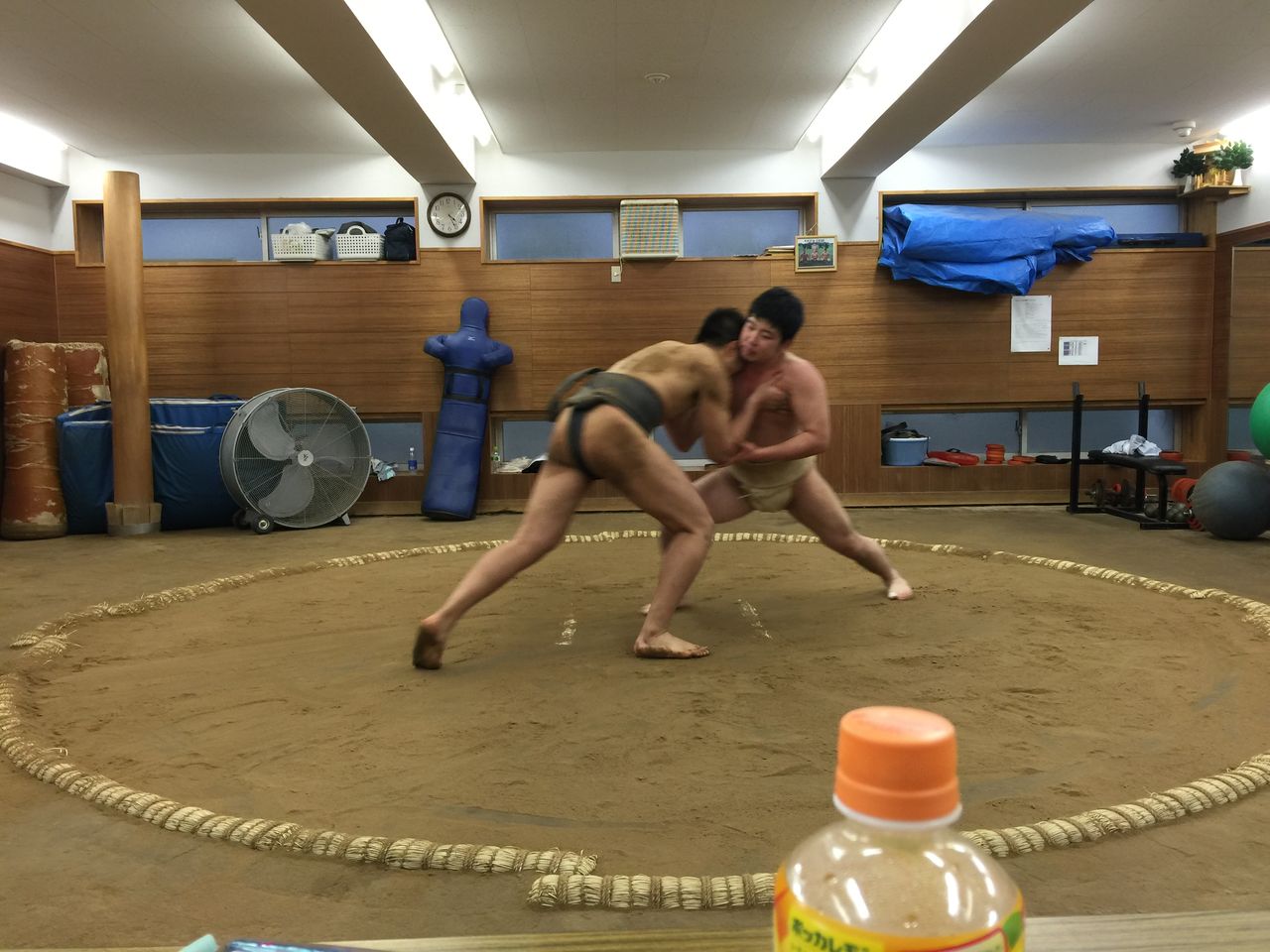 イメージ 9