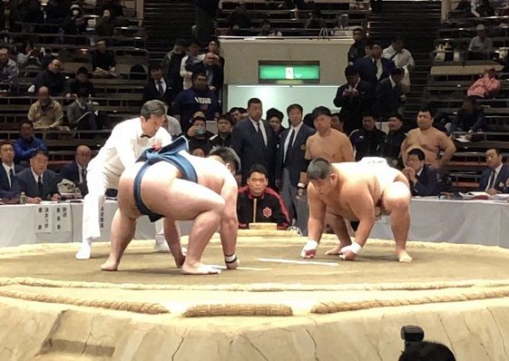イメージ 6