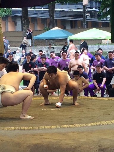 イメージ 4
