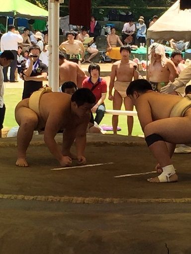 イメージ 2