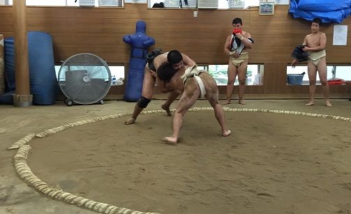 イメージ 14