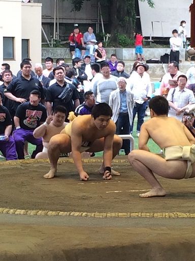 イメージ 6
