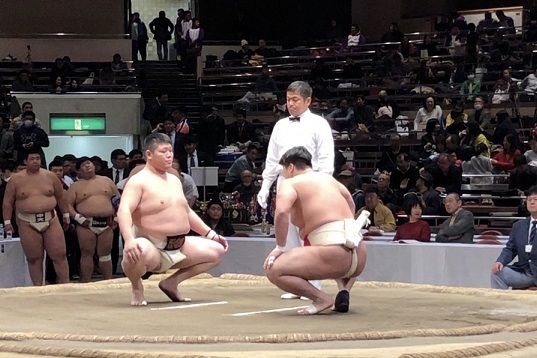 イメージ 11