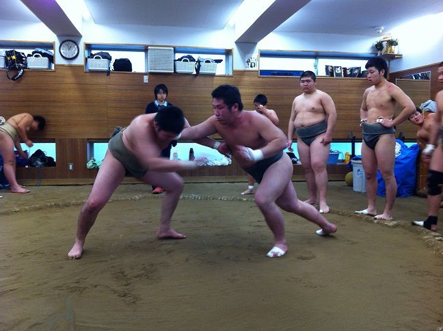 イメージ 8